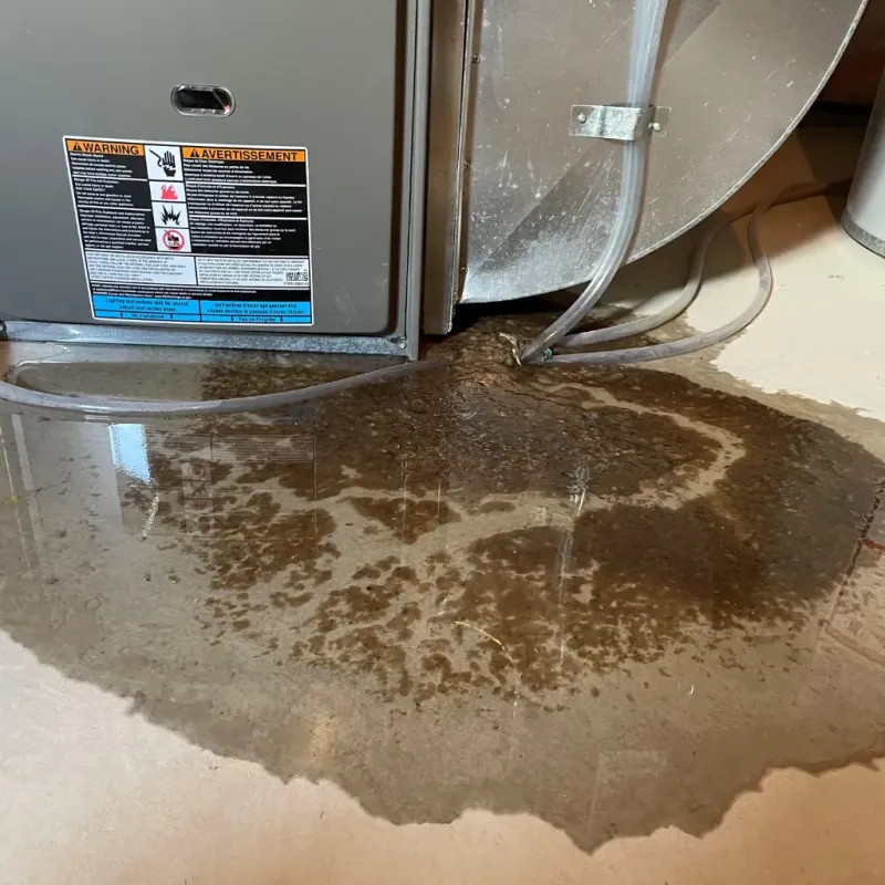 Appliance Leak Cleanup in Franklin, NC